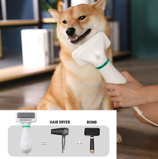 2 in 1 pet drying brush/hair dryer